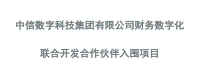 爱游戏数科财务信息化